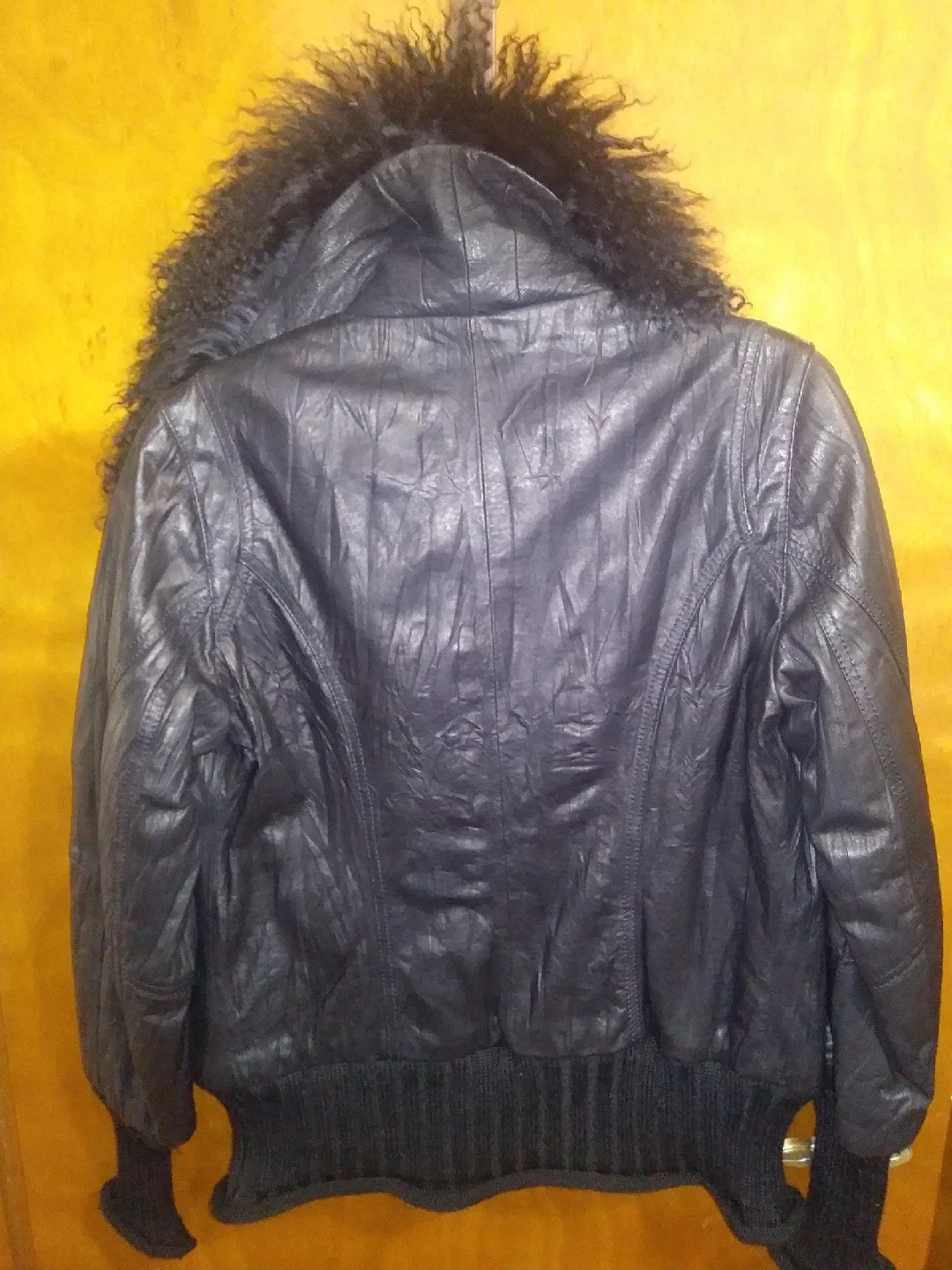 Danier Genuine Leather Jacket - Size S image indicator(2)