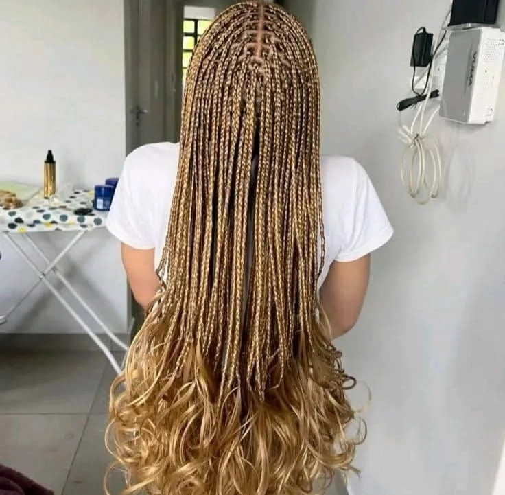 braid image indicator(2)