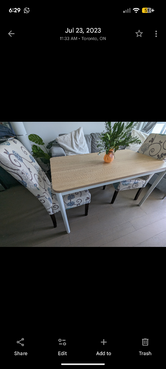 Multipurpose Table