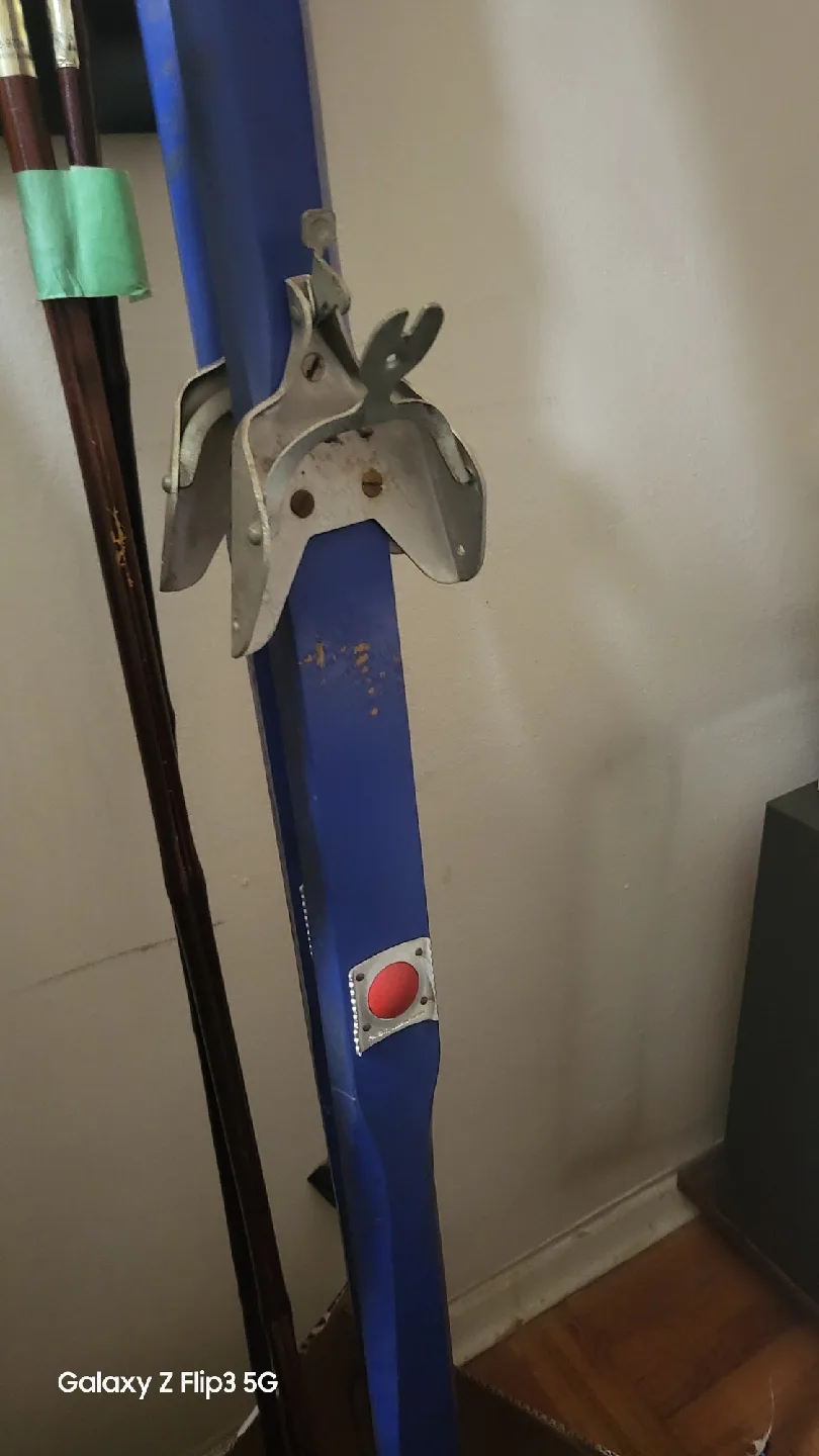 🥕Swedish Cross County ski by Latu image indicator(2)