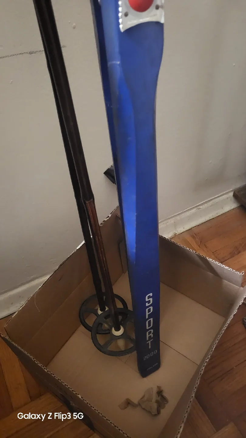 🥕Swedish Cross County ski by Latu image indicator(3)