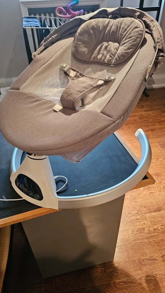 Baby Swing with Canopy image indicator(3)