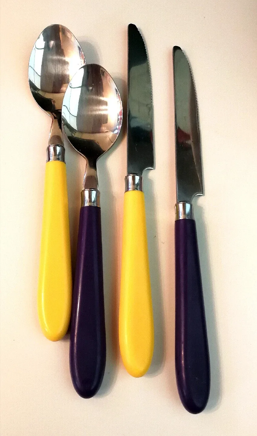 Large Fine China Plates (4) + Stainless Steel Utensils (New) image indicator(3)