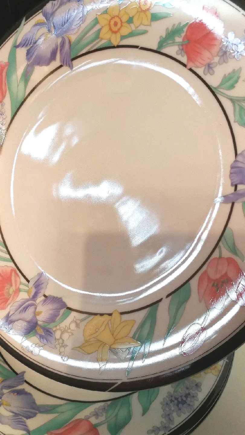 Large Fine China Plates (4) + Stainless Steel Utensils (New) image indicator(4)