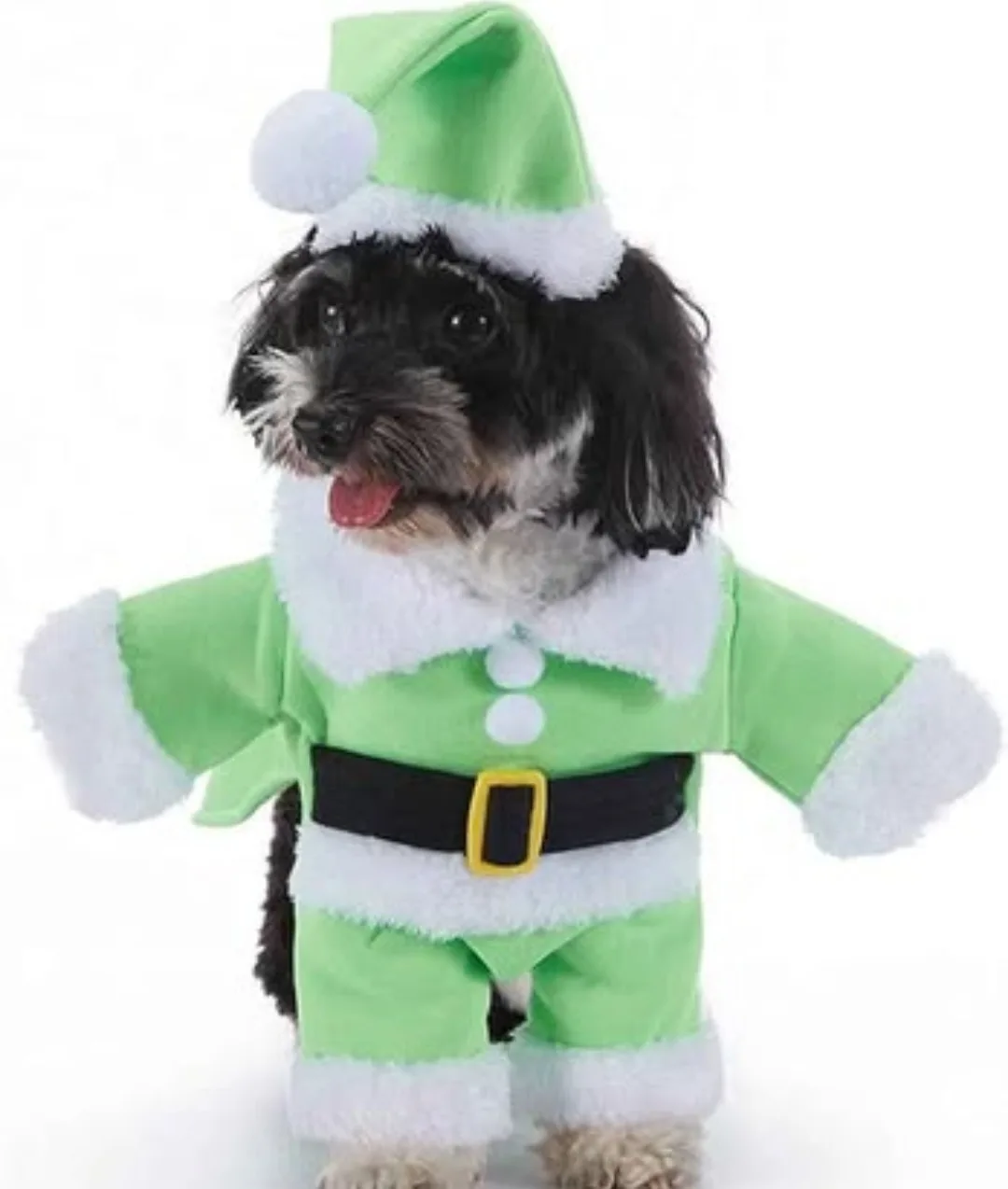 Dog Elf Costume - Size M image indicator(3)