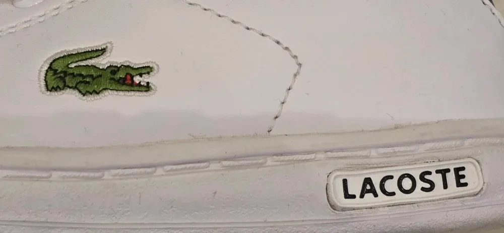 Lacoste White Sneakers! - Size 9 Kids image indicator(5)