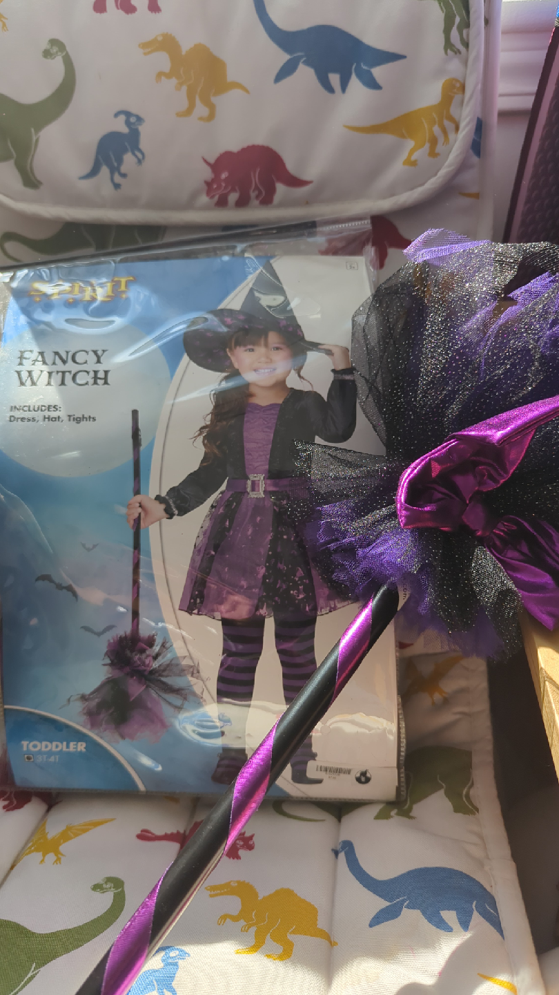 Spirit Halloween Fancy Witch Costume - Toddler
