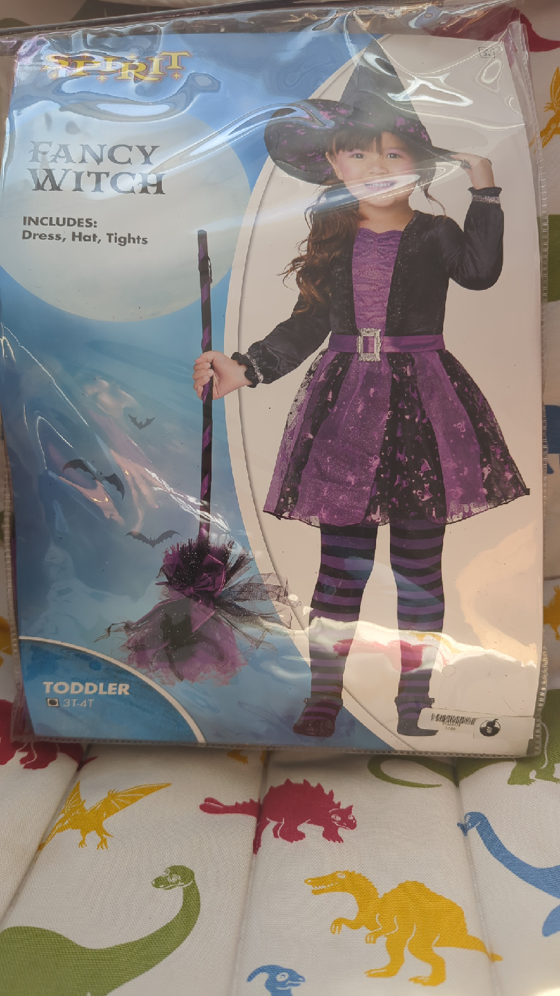 Spirit Halloween Fancy Witch Costume - Toddler - photo 2