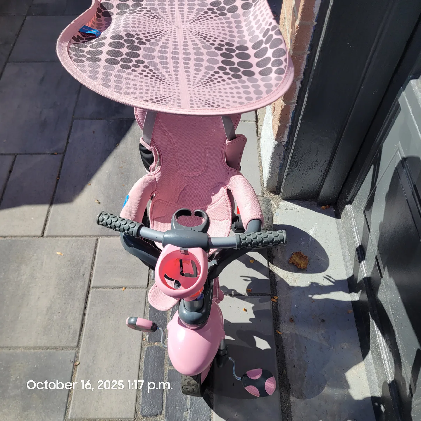 Smart Trike Pink Toddler Tricycle image indicator(2)