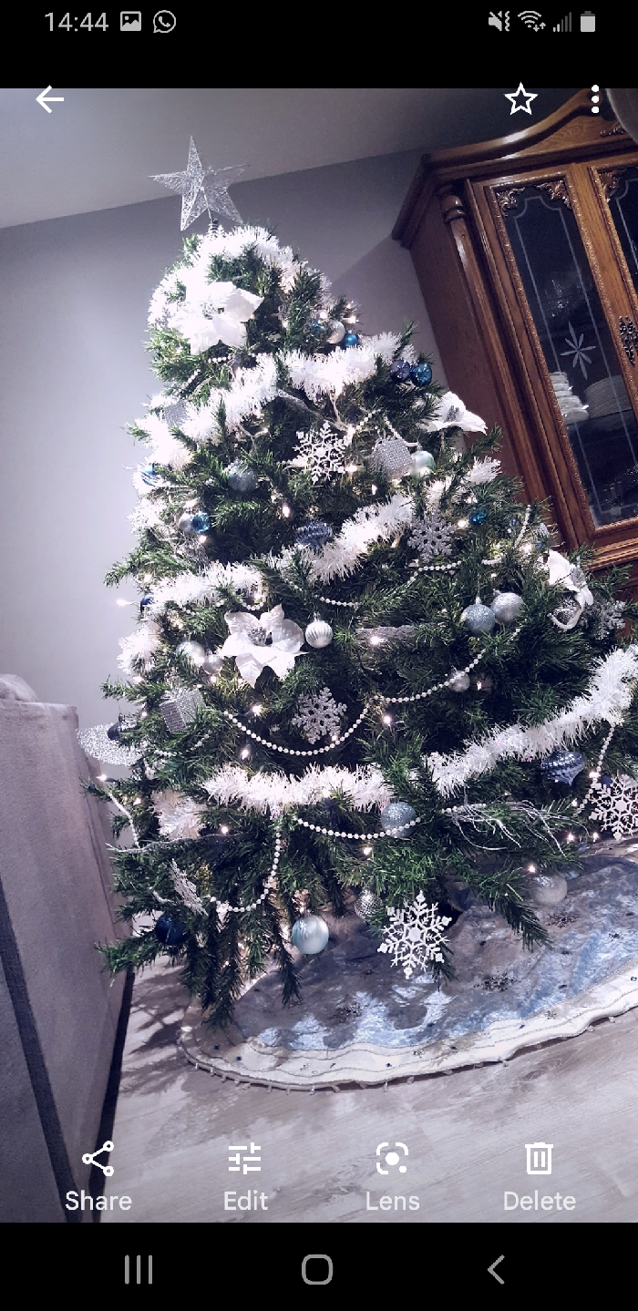 Christmas Tree!