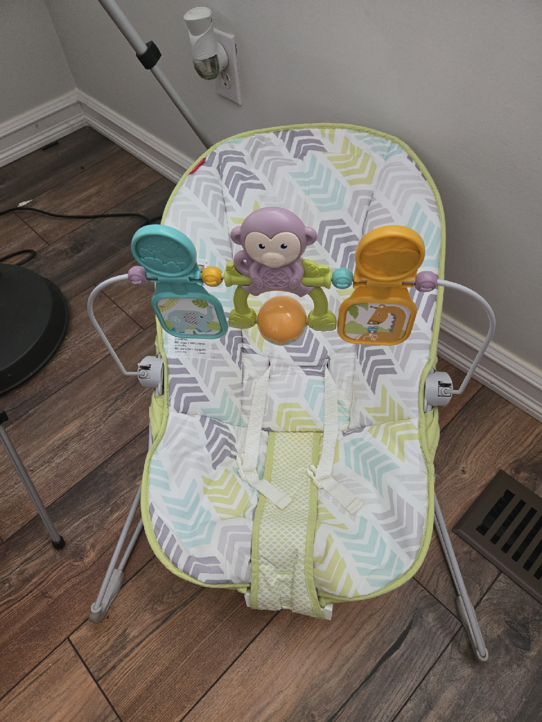 Fisher-Price Baby Bouncer