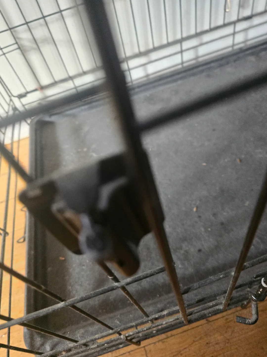 Cat Cage with Trays image indicator(3)