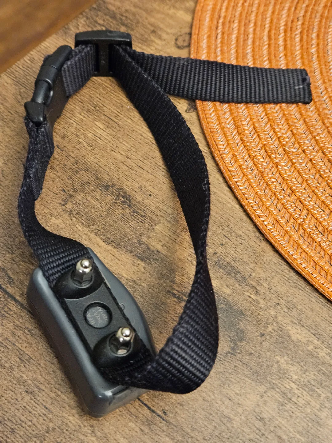 PetSafe 1000 Large Dog Bark Collar with Remote thumbnail