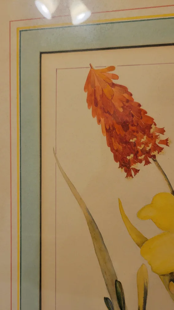 Framed Floral Watercolor Painting image indicator(3)