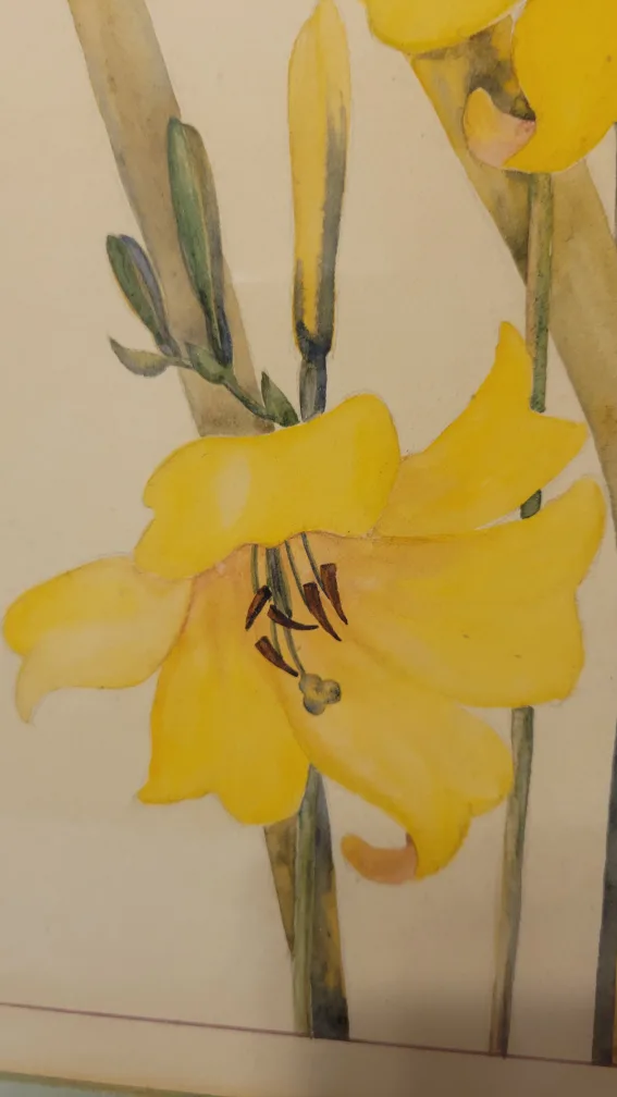 Framed Floral Watercolor Painting image indicator(4)