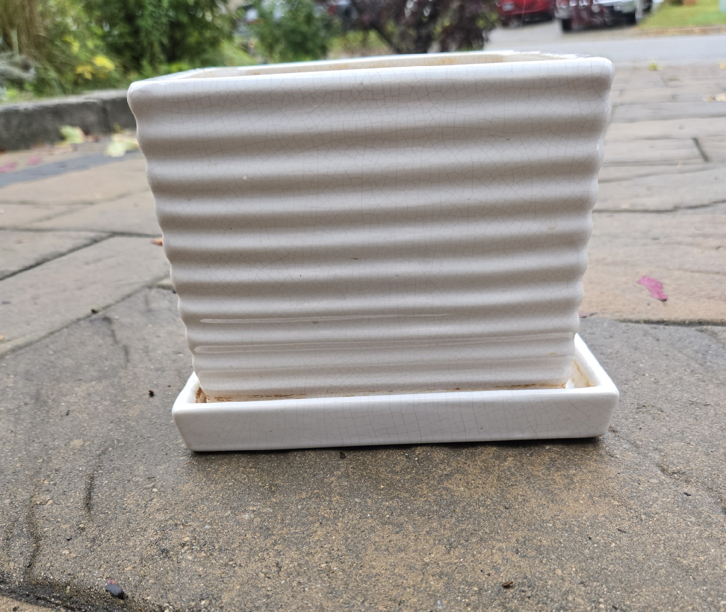 6.5" White Ceramic Plant Pot with whole