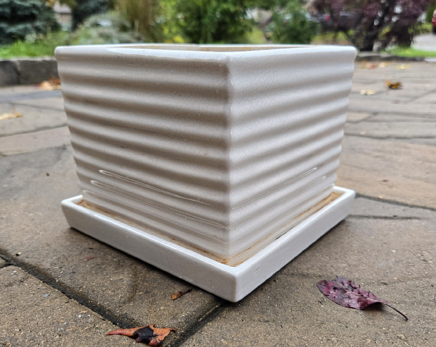 6.5" White Ceramic Plant Pot with whole - photo 2