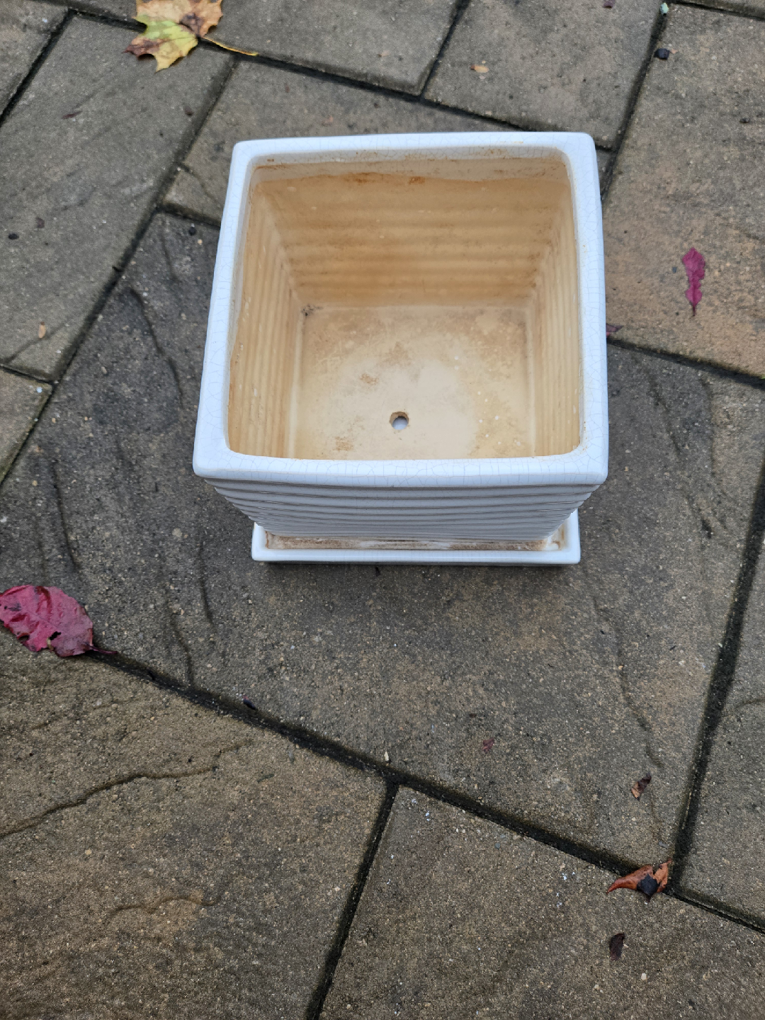 6.5" White Ceramic Plant Pot with whole - photo 4