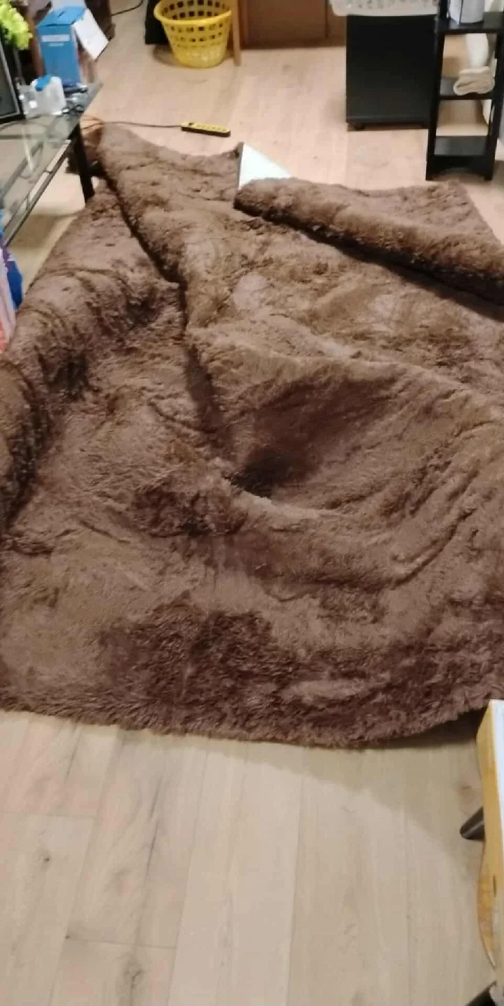 Brown Shag Rug image indicator(6)