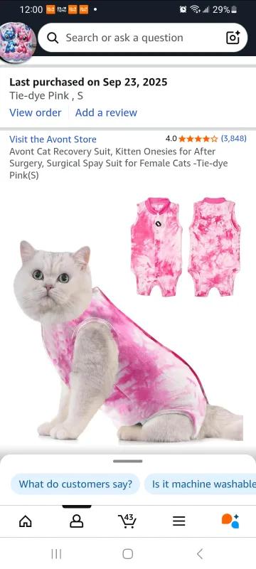 kitten surgical recovery bodysuit image indicator(6)