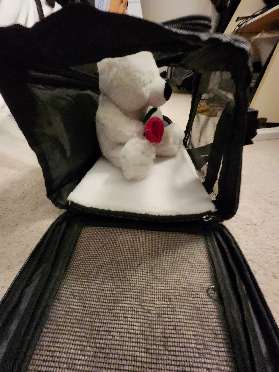 New Black Soft-Sided Pet Carrier image indicator(6)