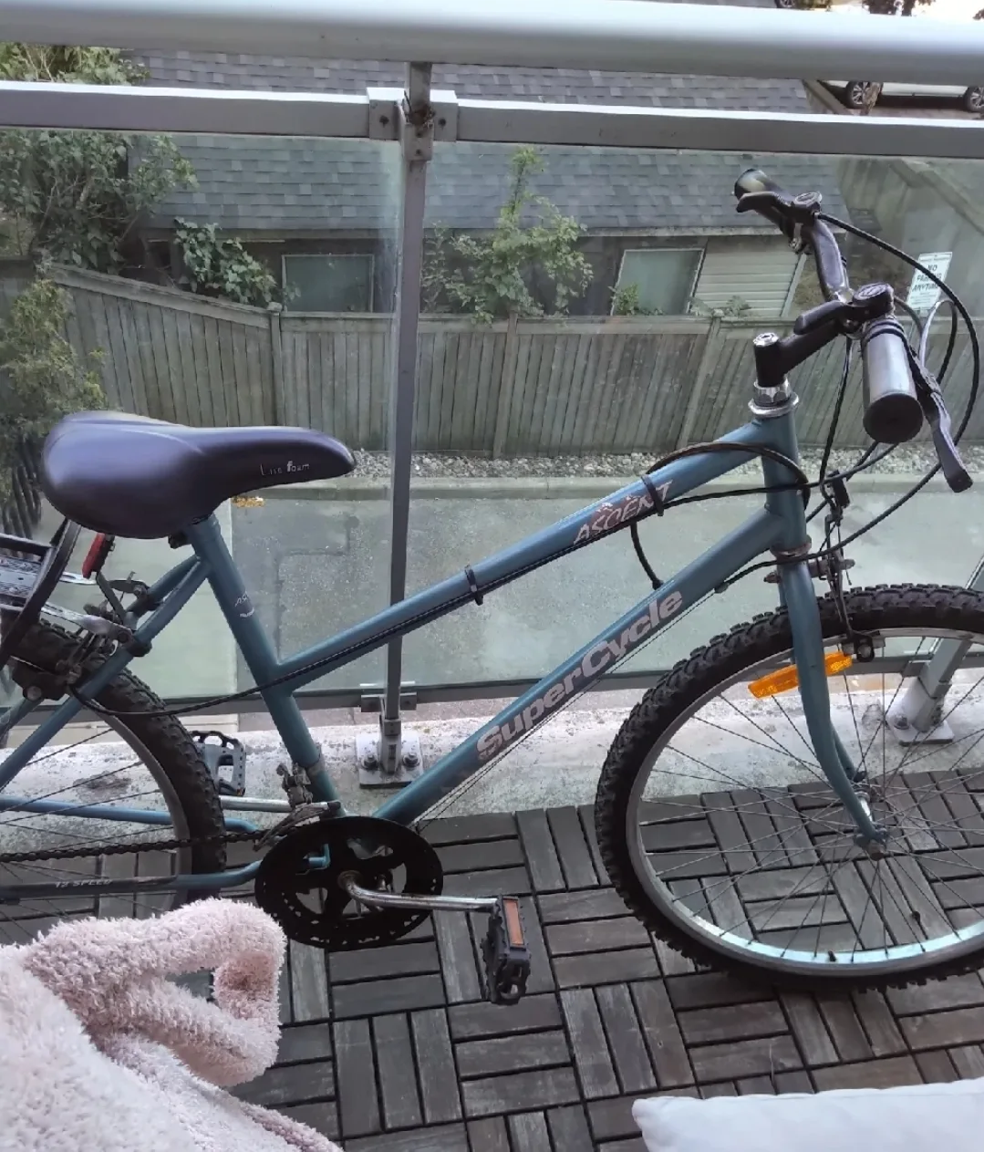 Used bike. rear tire needs to be replaced. Supercycle