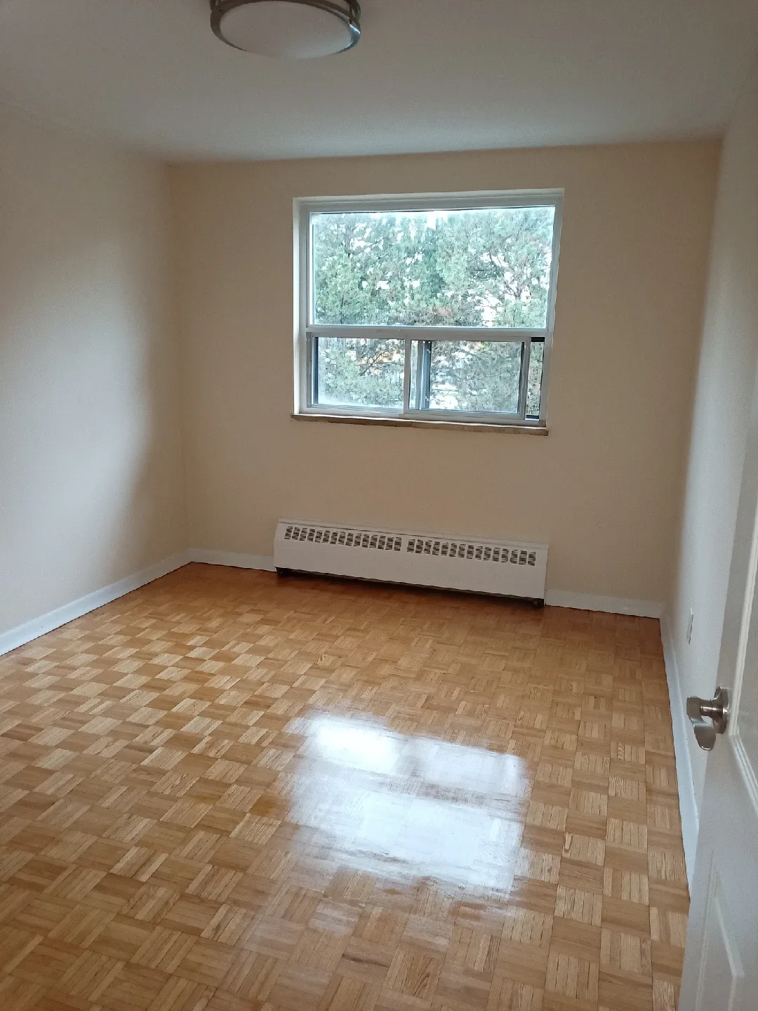 1Bed Apartment+2 MONTHS FREE image indicator(4)