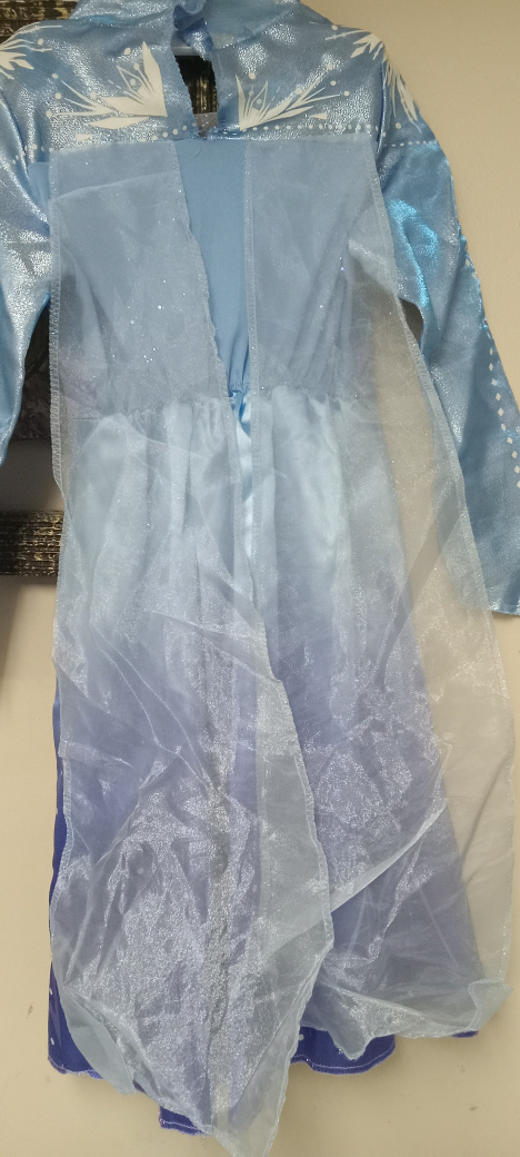 Frozen Elsa Dress Costume - photo 5