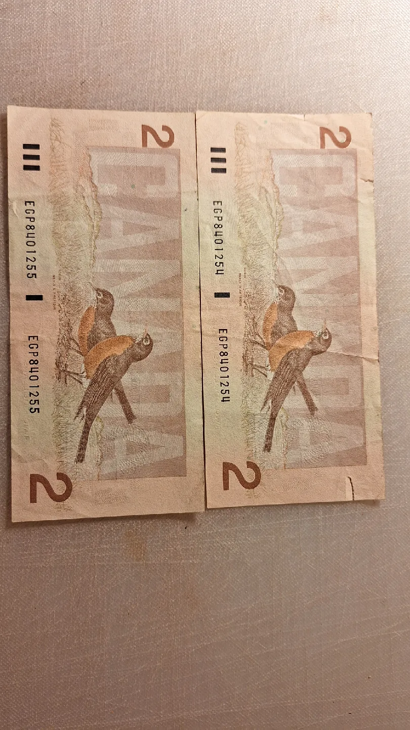 Two paper notes image indicator(2)