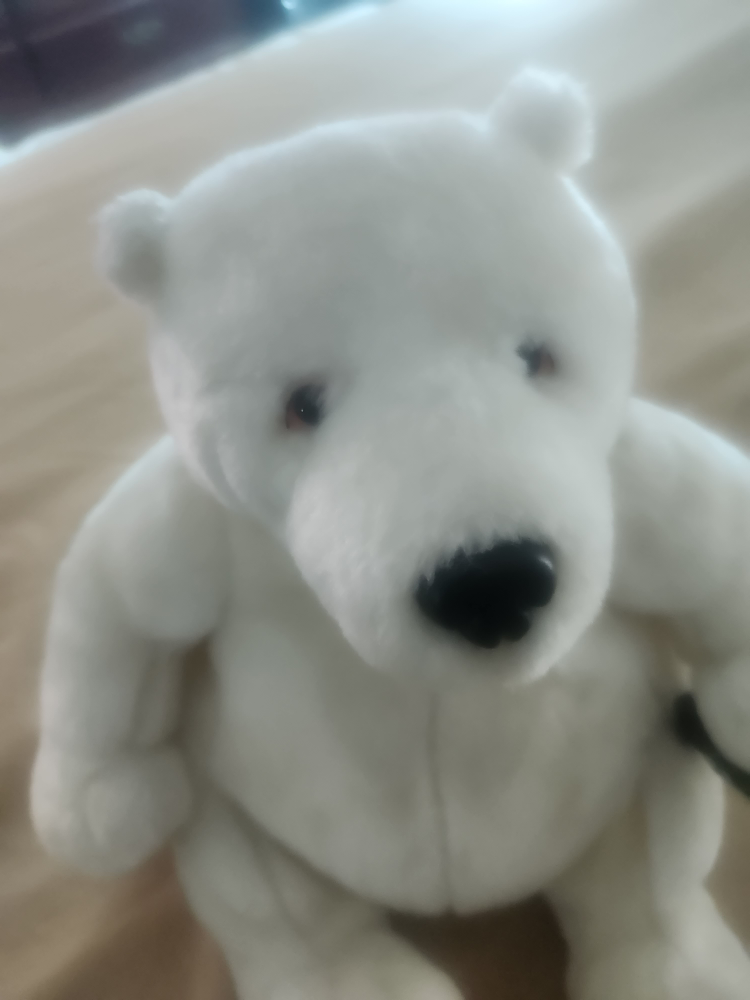 White Polar Bear Plush Toy - photo 2