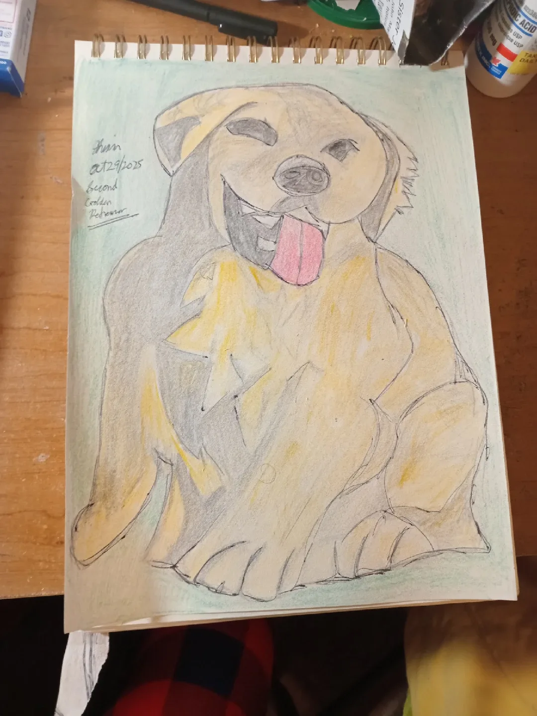 Dog Drawing by Custom Artist Sherwin image indicator(2)