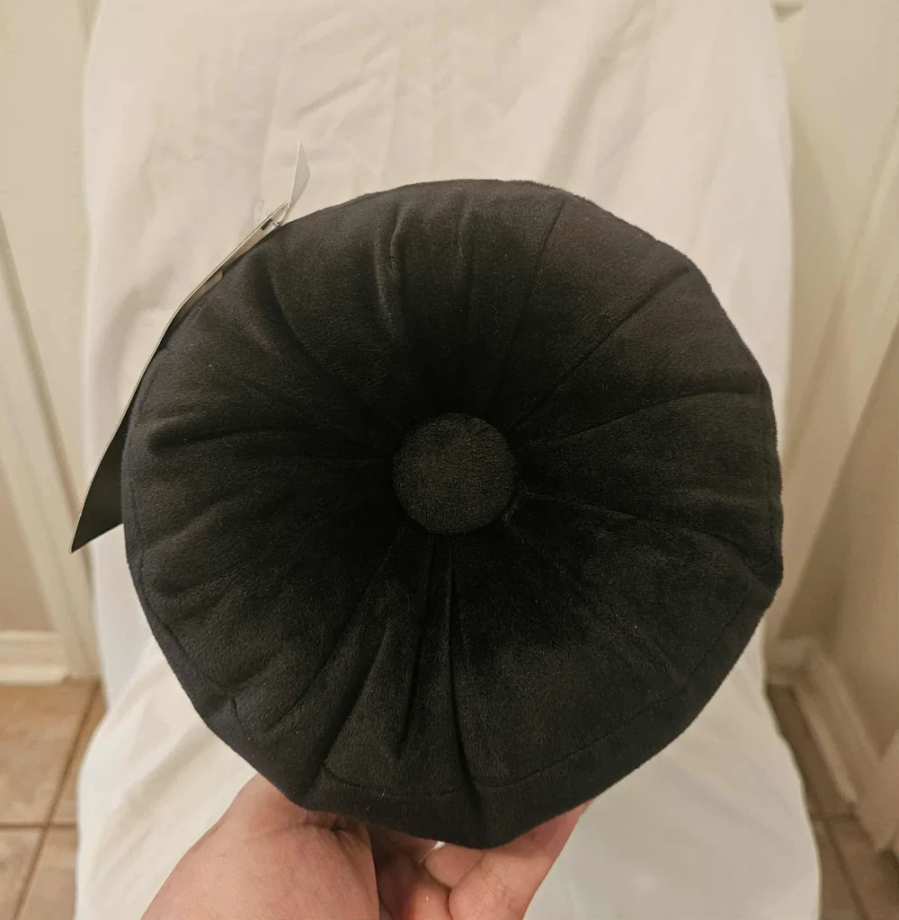 Black Rachel Zoe Round Decorative Pillow image indicator(4)