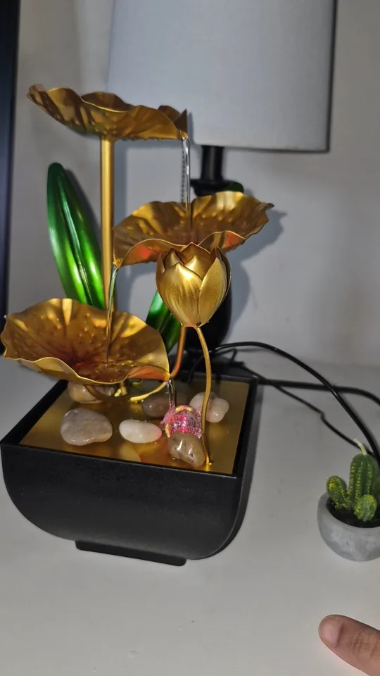 indoor Water Fountain image indicator(2)