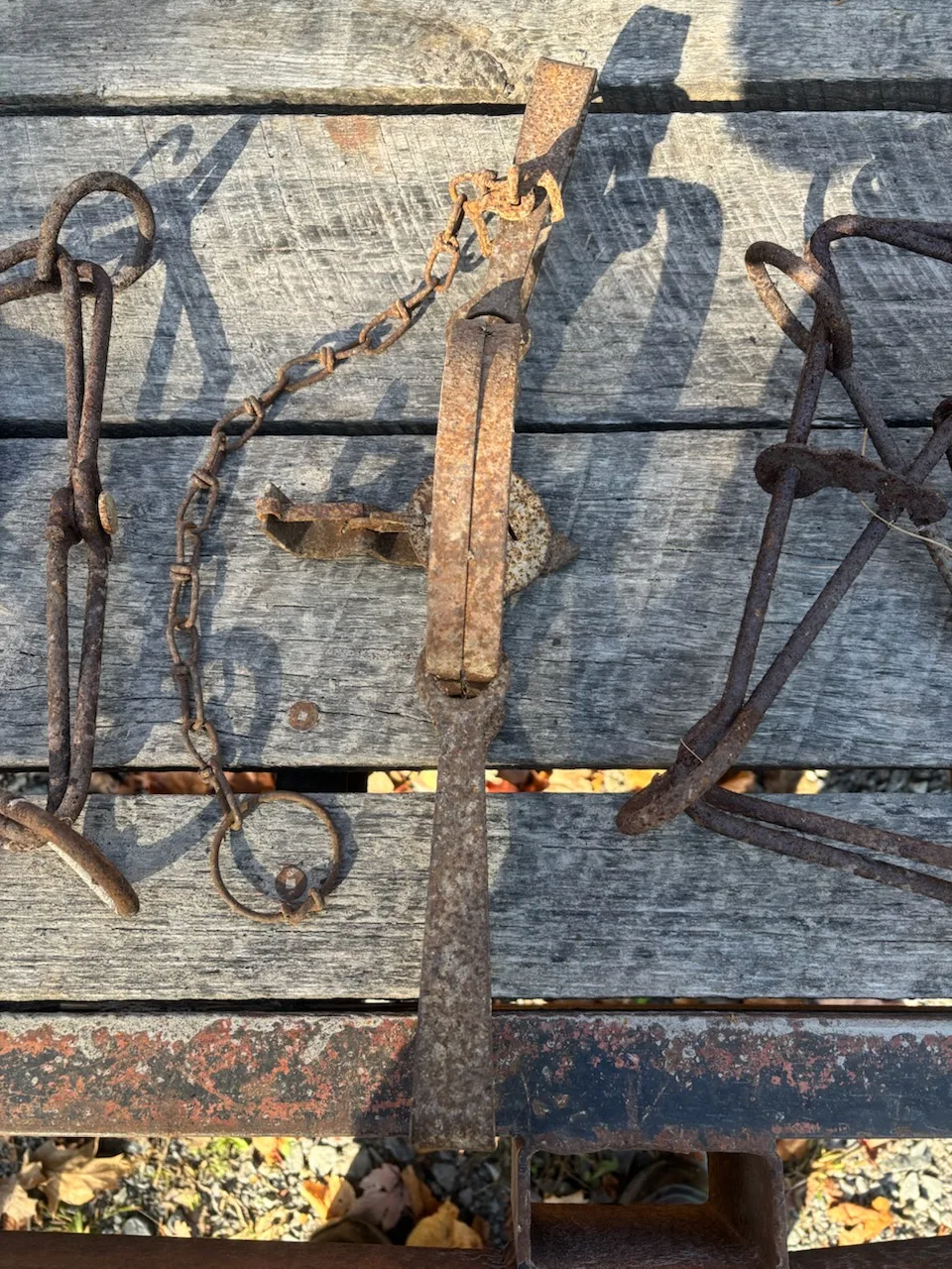 Unusable Vintage Animal Traps for Decor image indicator(2)