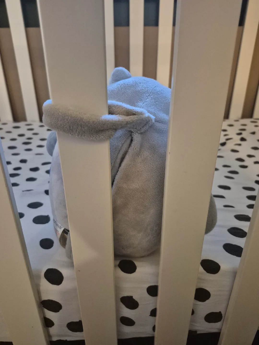 Gro Company Ollie the Owl image indicator(3)