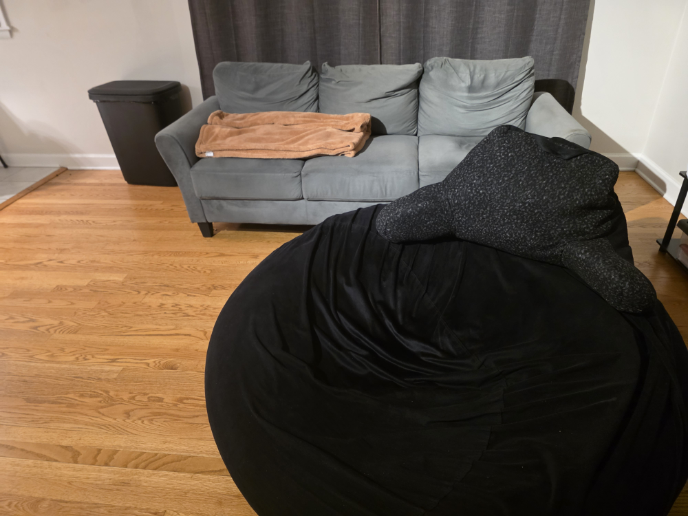 Sofa, Standing Desk, Chair, Bean Bag ($2,600 Value)