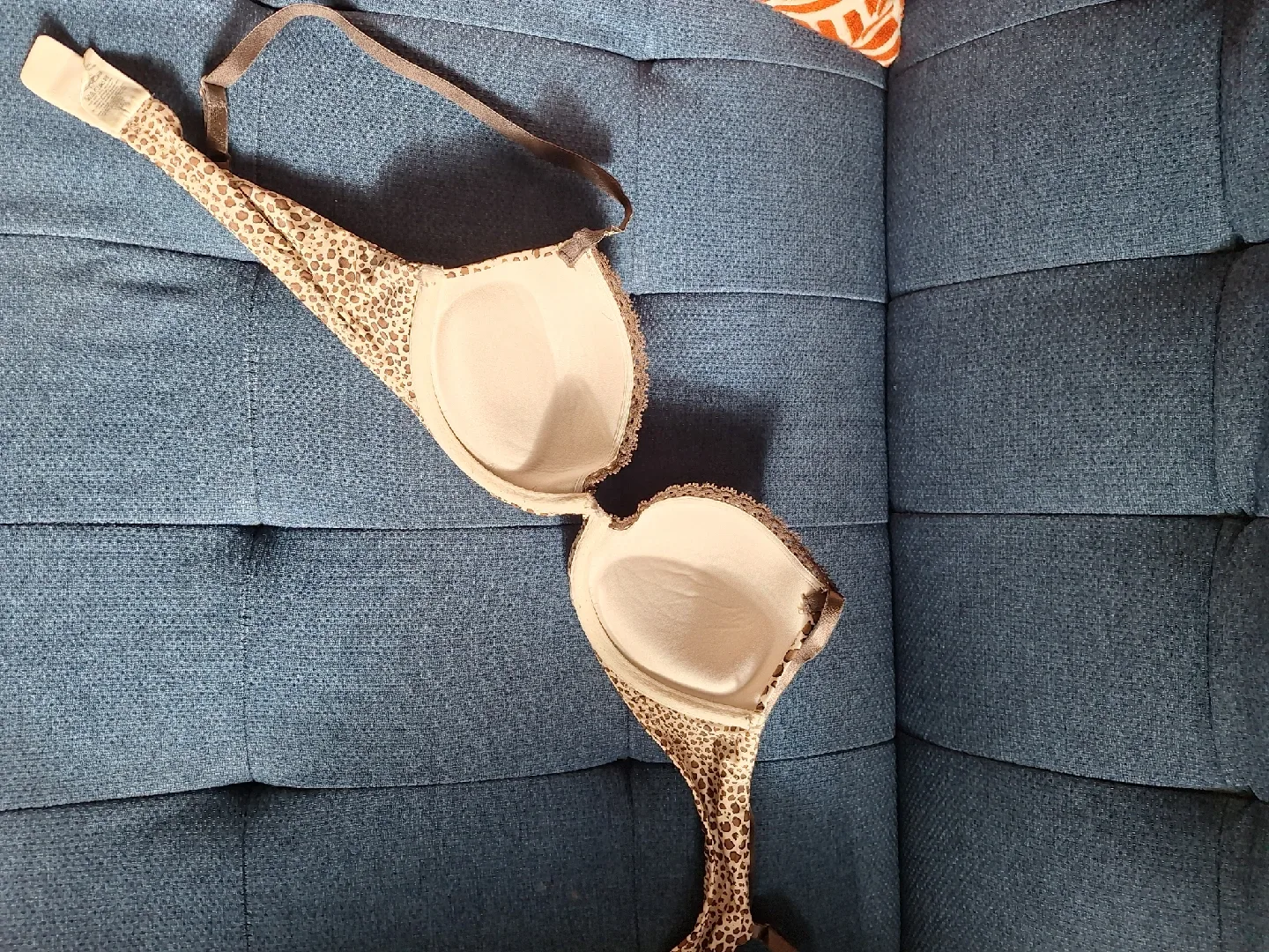 Calvin Klein Bra - 34B image indicator(4)