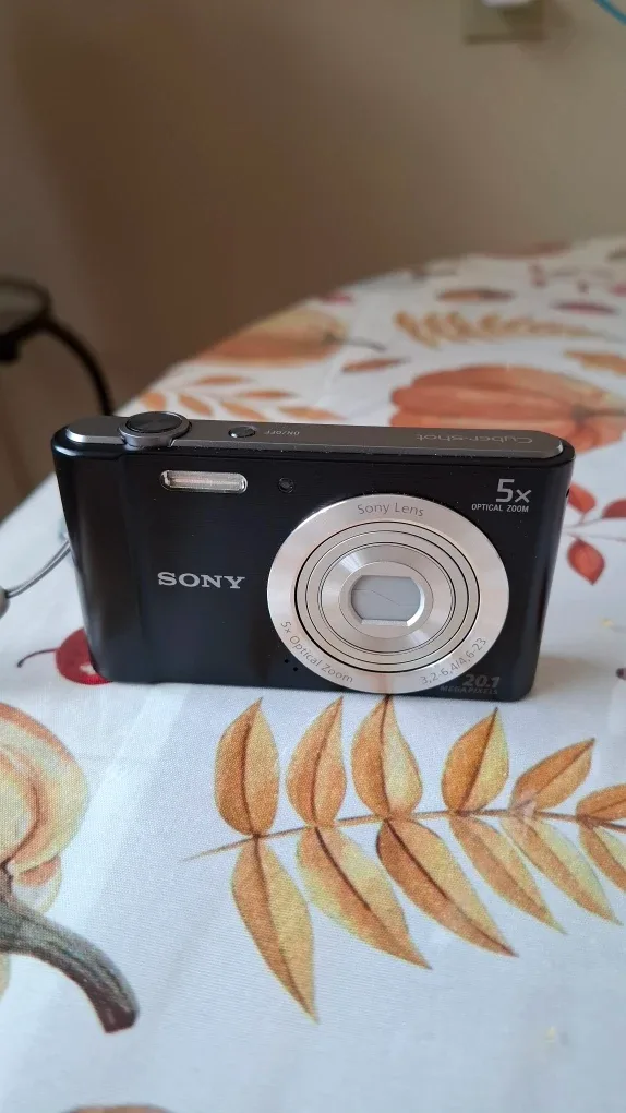 Sony Cyber-shot DSC-W800 Digital Camera thumbnail