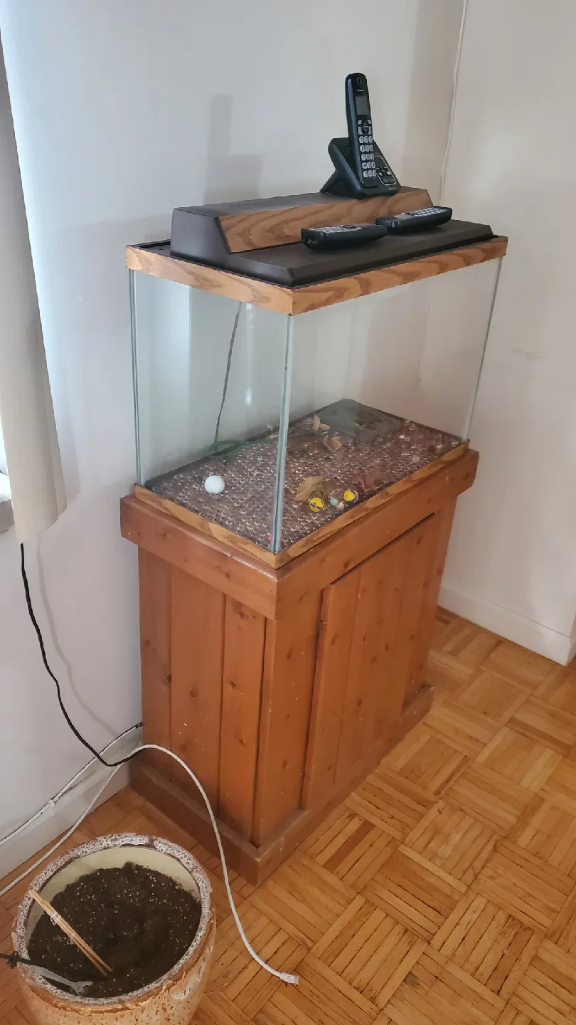 Fish tank with wooden stand image indicator(3)