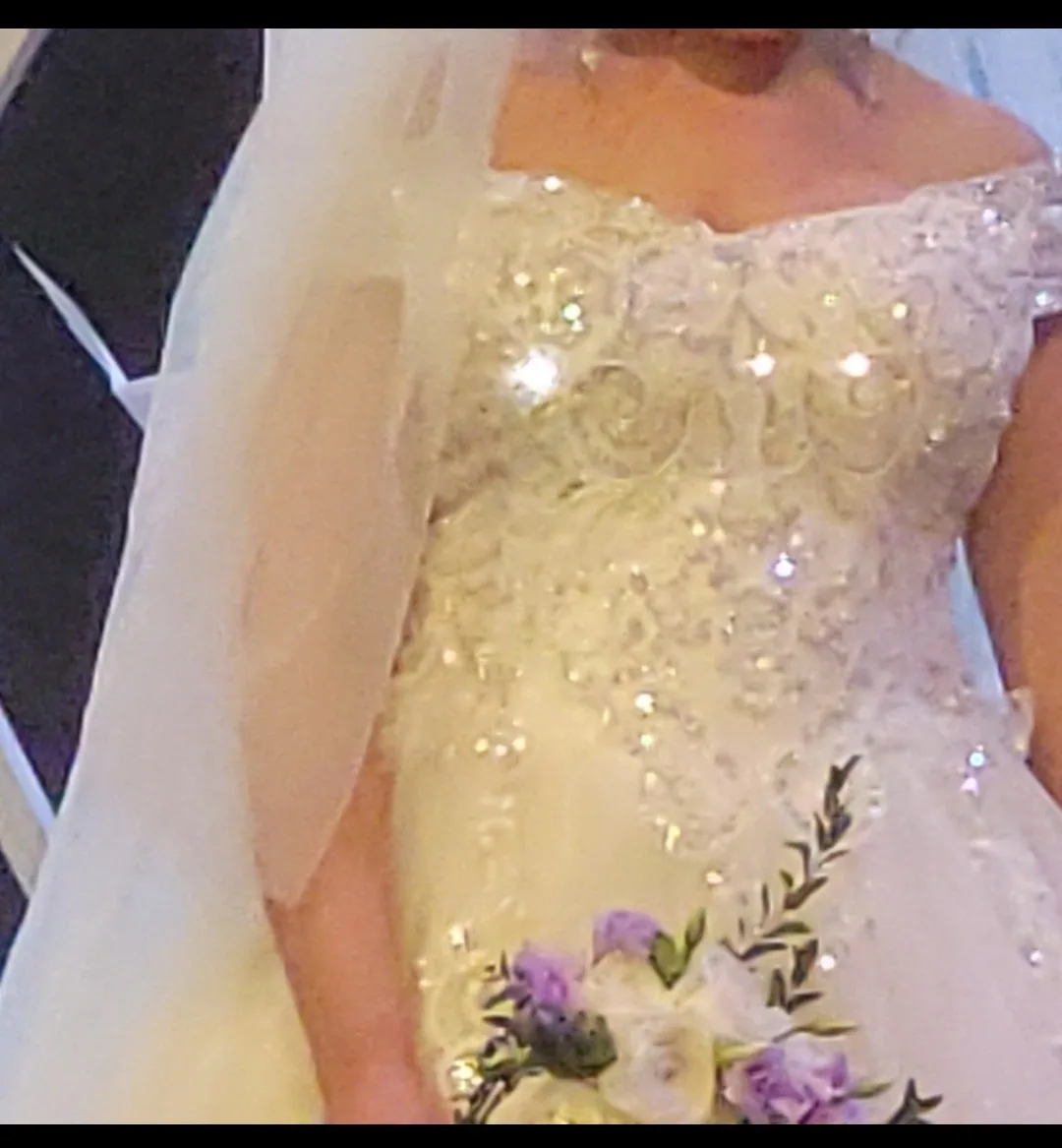 wedding dress image indicator(3)