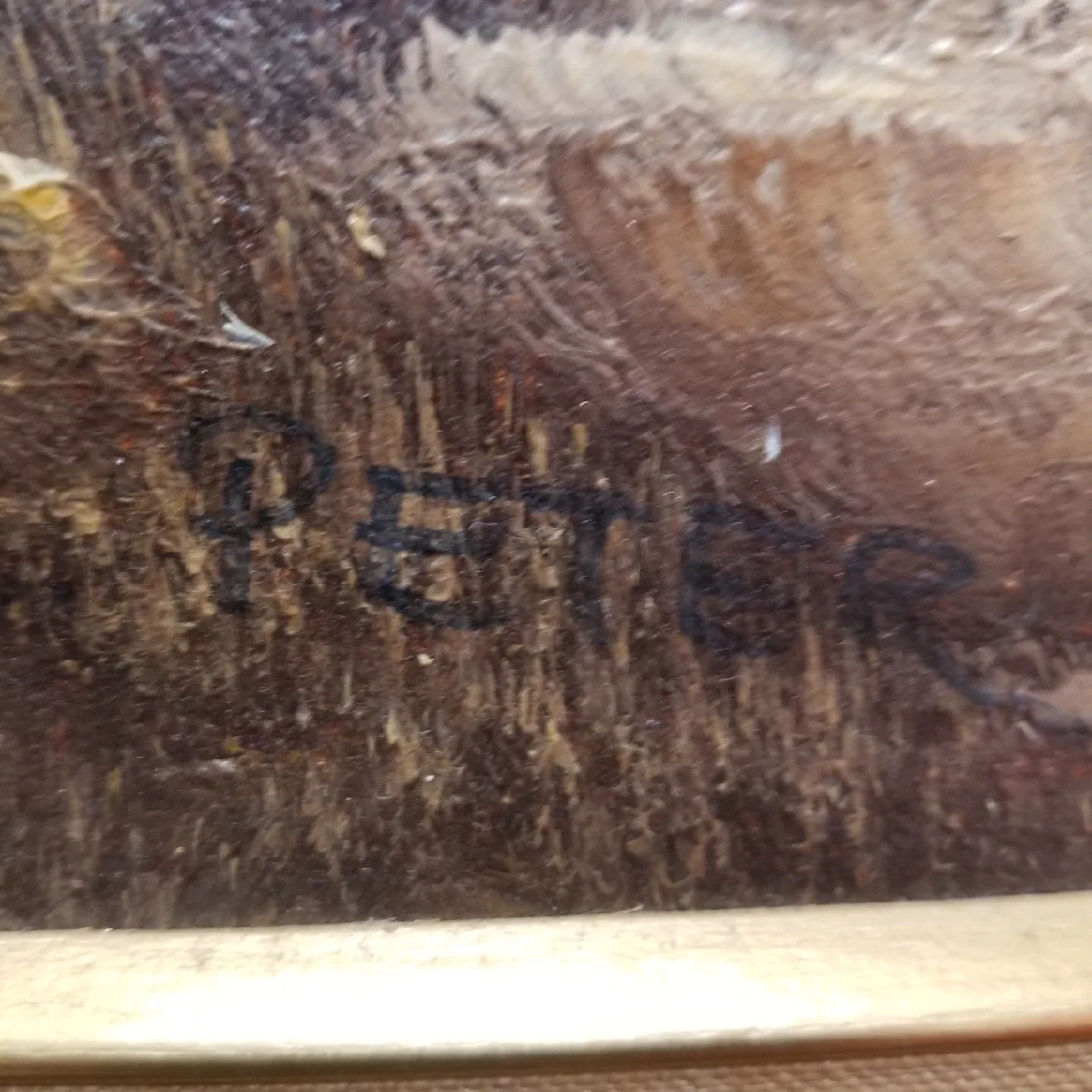 Framed Landscape Painting's by C. Peter image indicator(4)