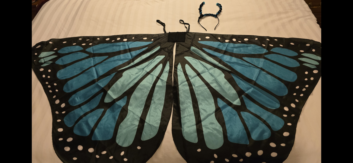 Butterfly Wings Costume with Headband