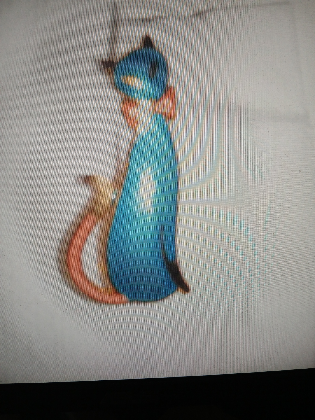1970s turquoise cat pin