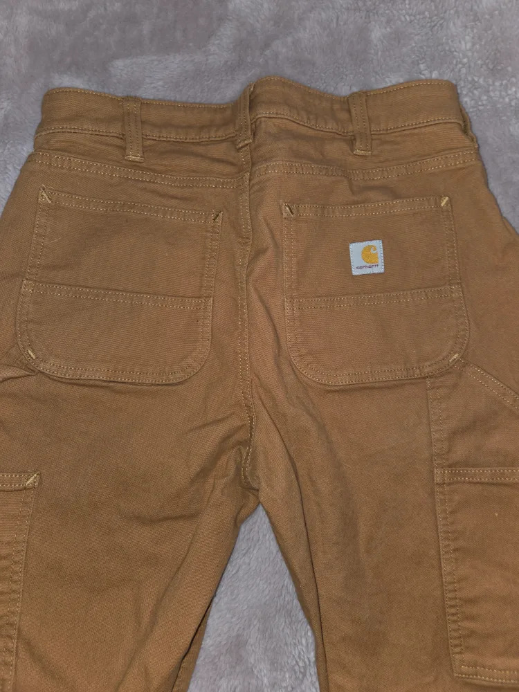 Carhartt Relaxed Fit Carpenter Pants, Size 6 image indicator(3)