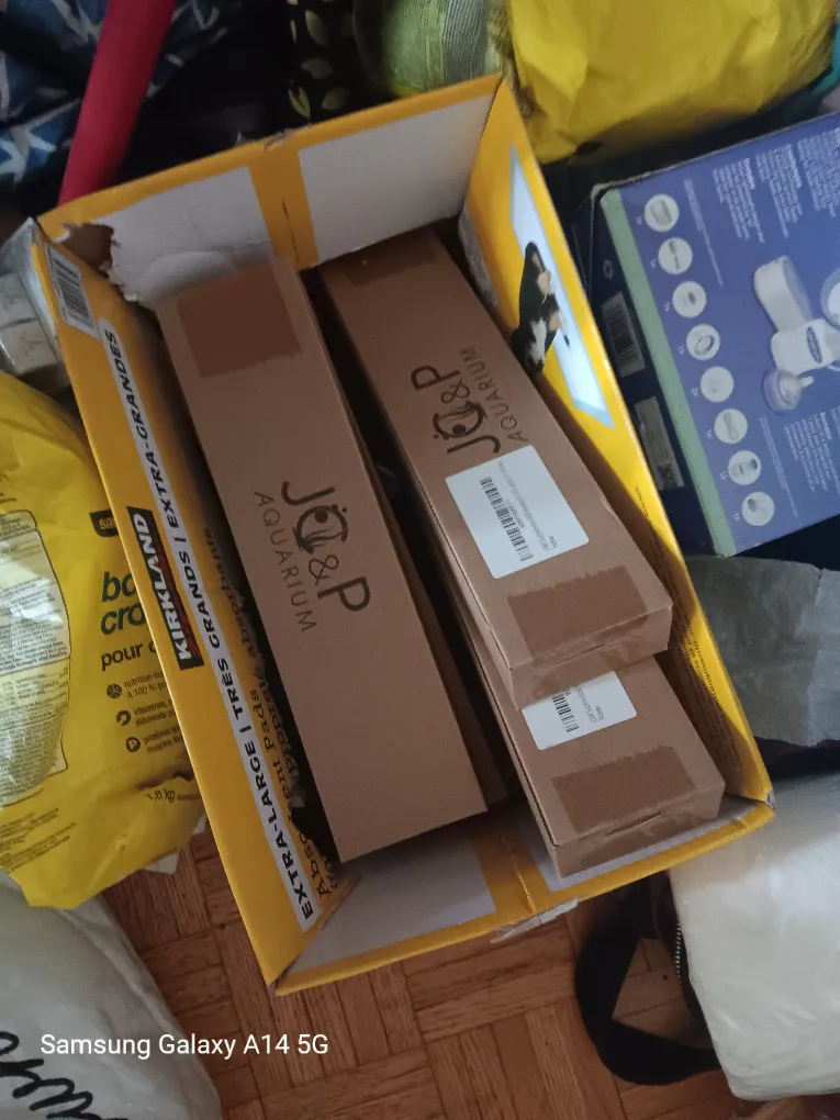 J&P Aquarium image indicator(4)