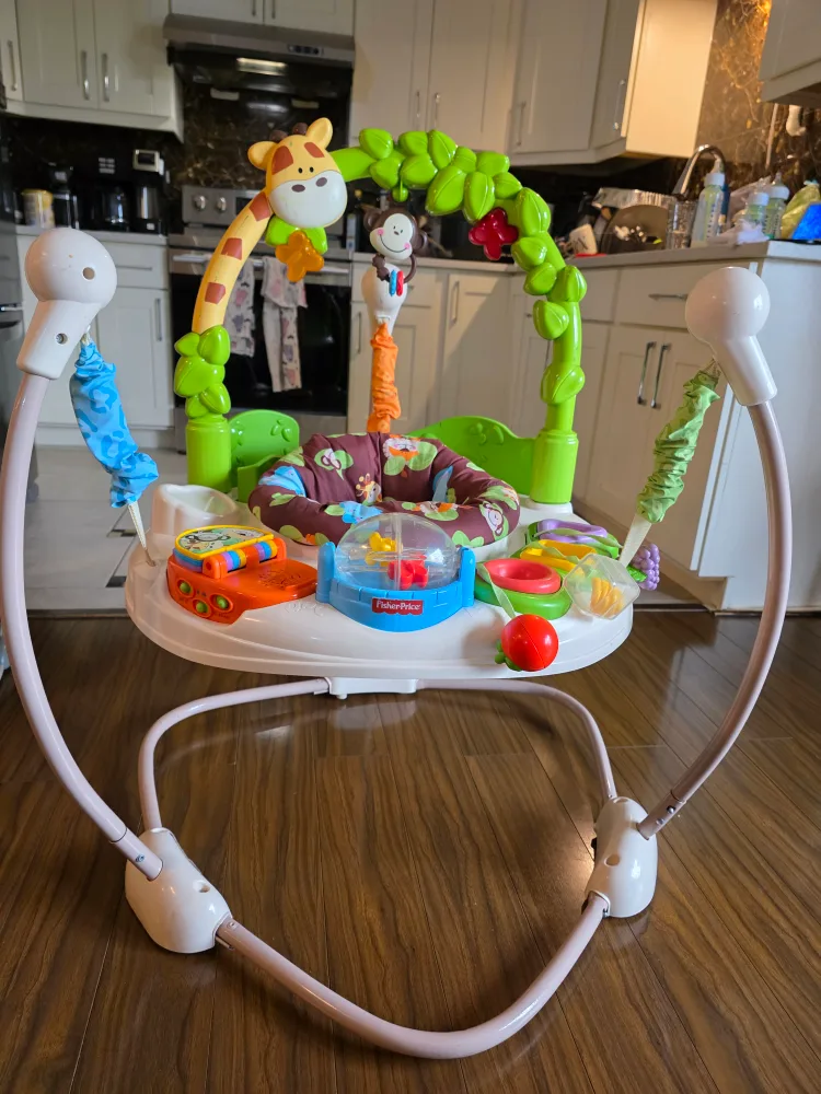 Fisher-Price Animal Activity Jumperoo image indicator(4)