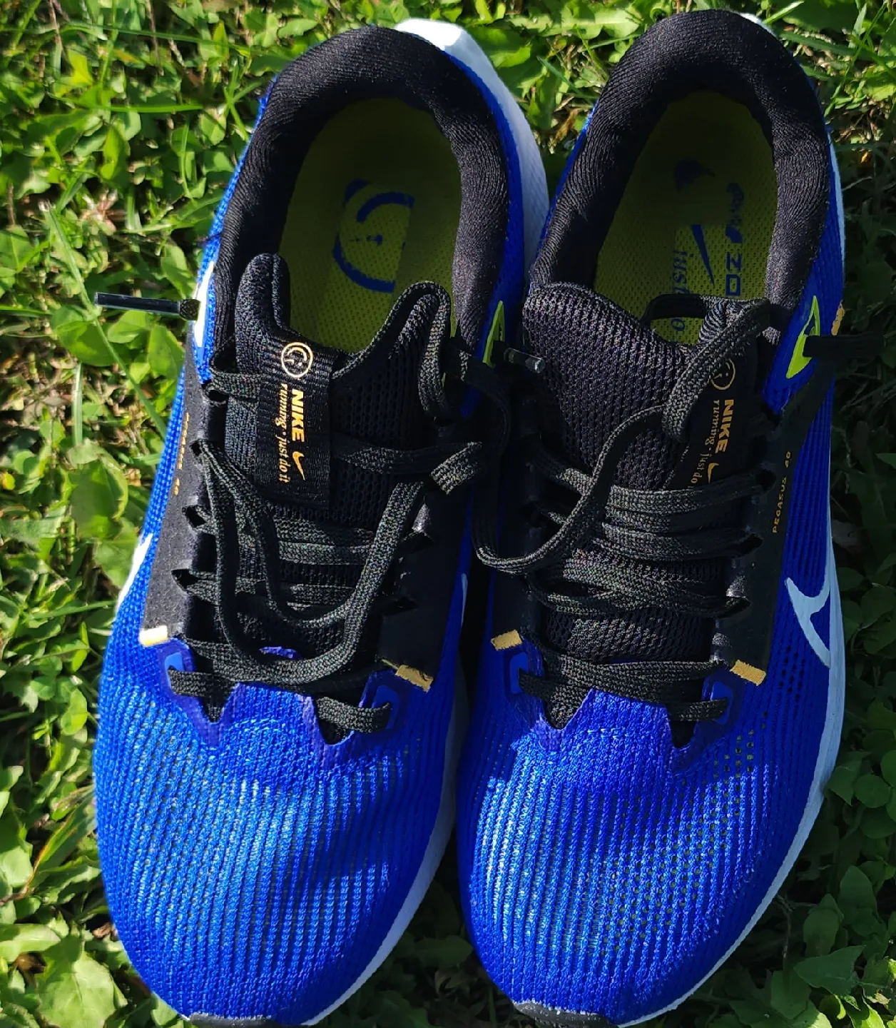Nike Pegasus 40 Blue Running Shoes - US 7.5 image indicator(2)