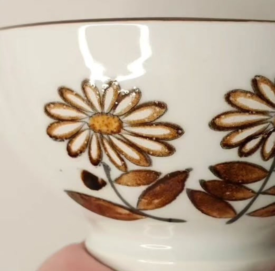 Vintage 1970's Porcelain Bowls - Set of 2 - photo 3