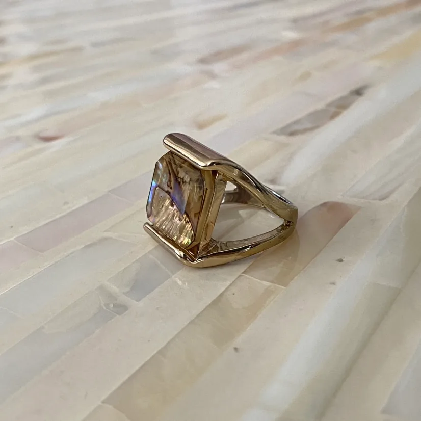 Ring image indicator(2)