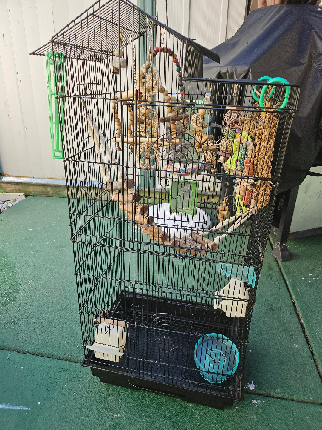 Bird Cage with Accessories image indicator(3)